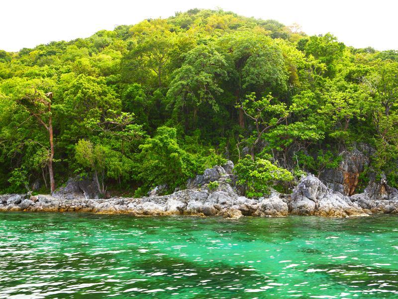 Flower Island Resort Taytay  Exterior foto